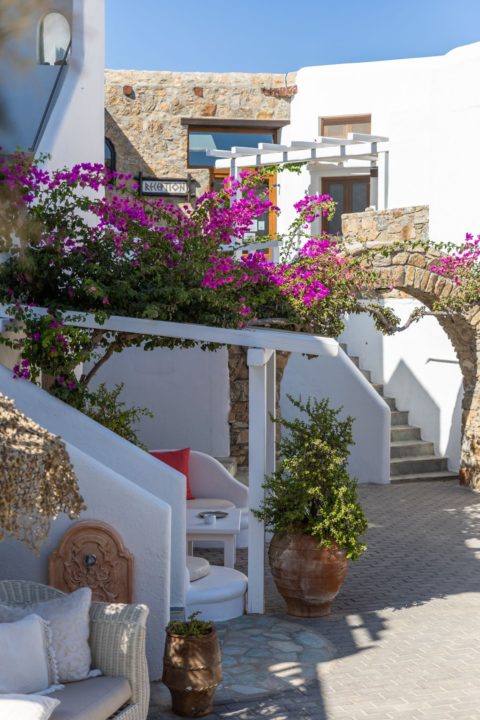 wellness_retreats_mykonos_17